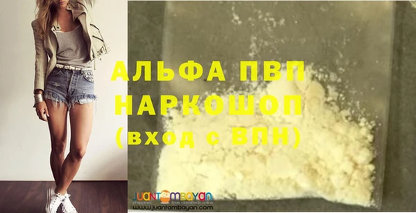 гашик Щигры