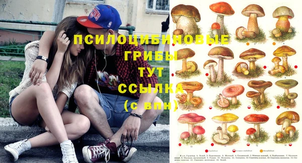 герыч Кущёвская