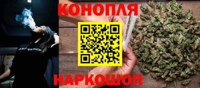 спиды Гусев