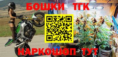 спиды Гусев