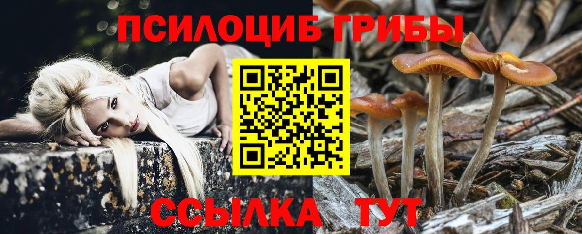 Псилоцибиновые грибы GOLDEN TEACHER Ижевск
