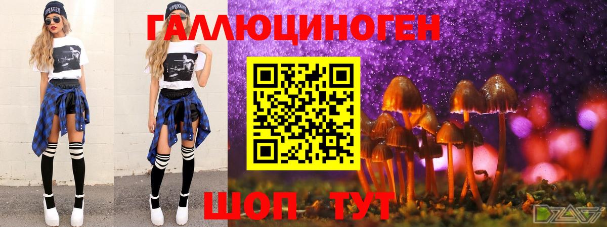 Ижевск  Галлюциногенные грибы Psilocybine cubensis  Вход с VPN 